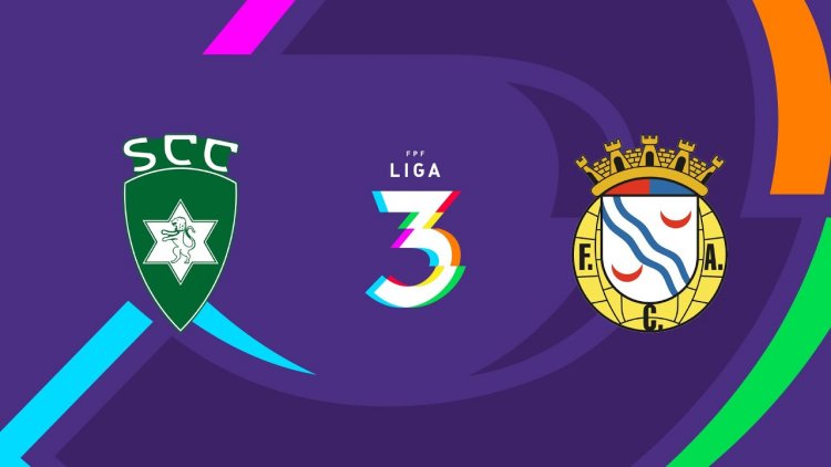 Futebol 365