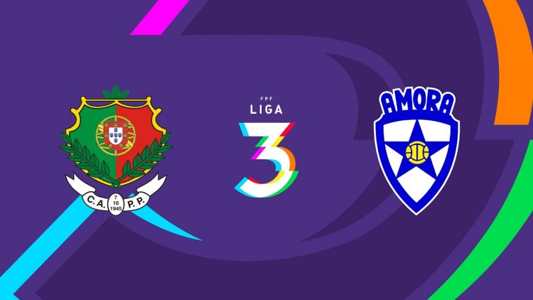 Futebol 365