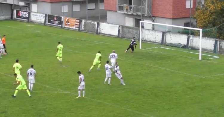 Futebol 365