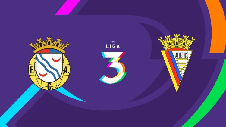 Futebol 365