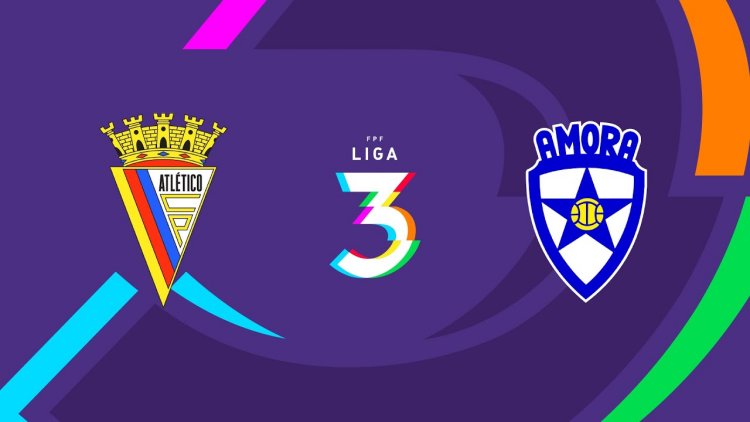 Futebol 365