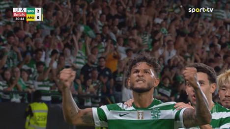 Futebol 365