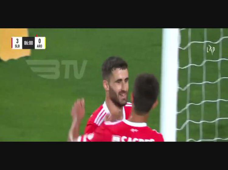 Futebol 365