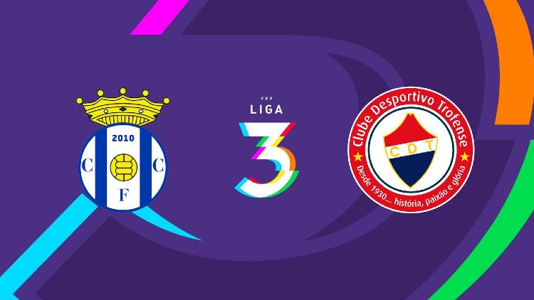 Futebol 365