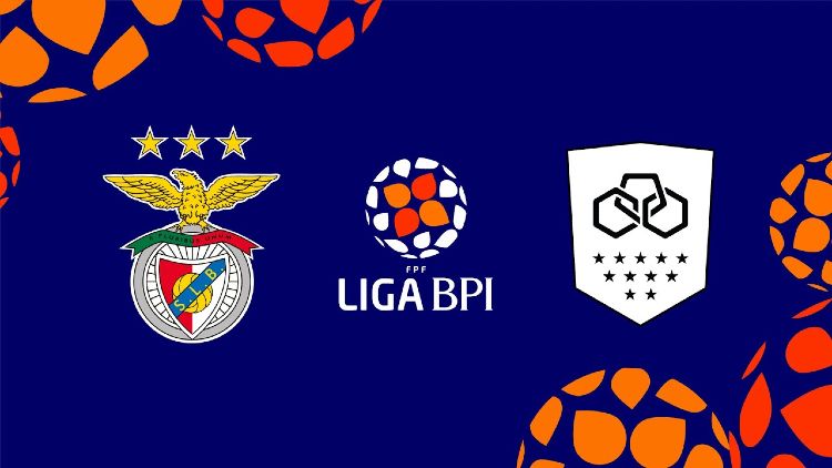 Futebol 365