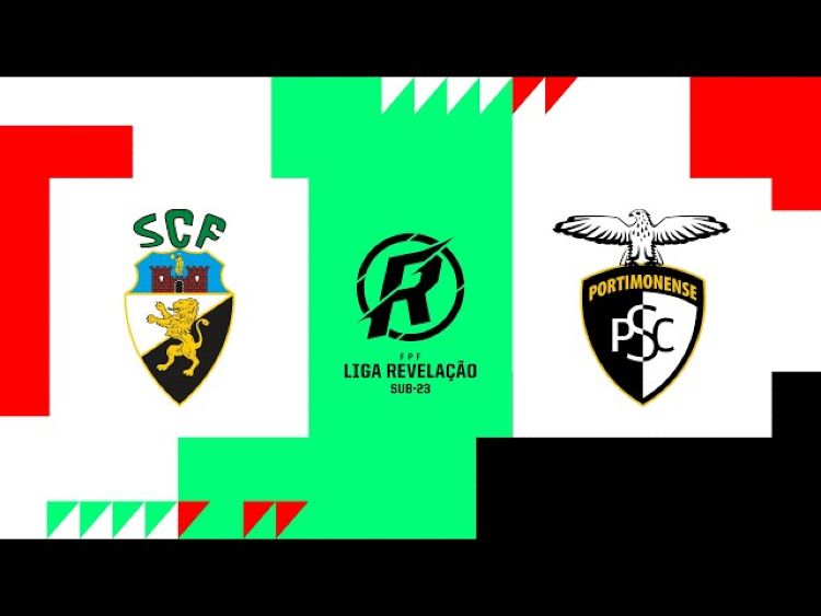 Futebol 365
