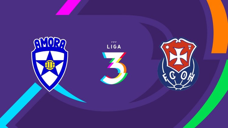 Futebol 365