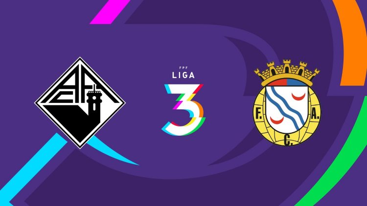 Futebol 365
