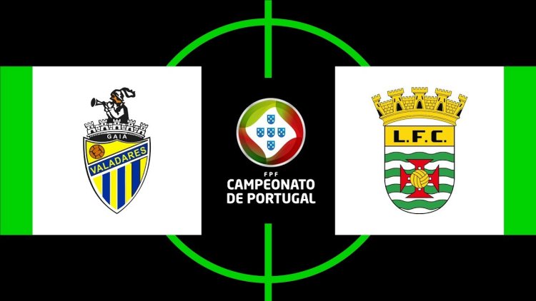 Futebol 365