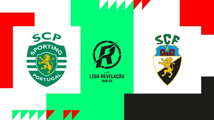 Futebol 365