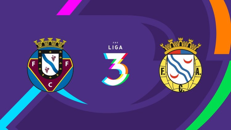 Futebol 365