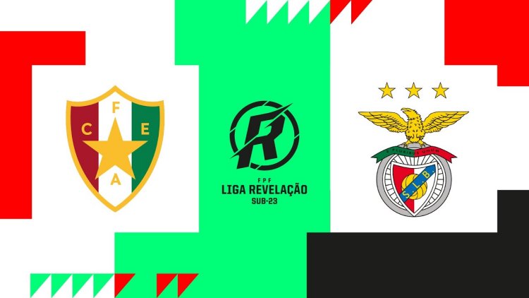 Futebol 365