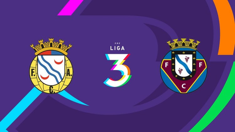 Futebol 365