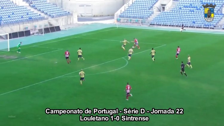 Futebol 365