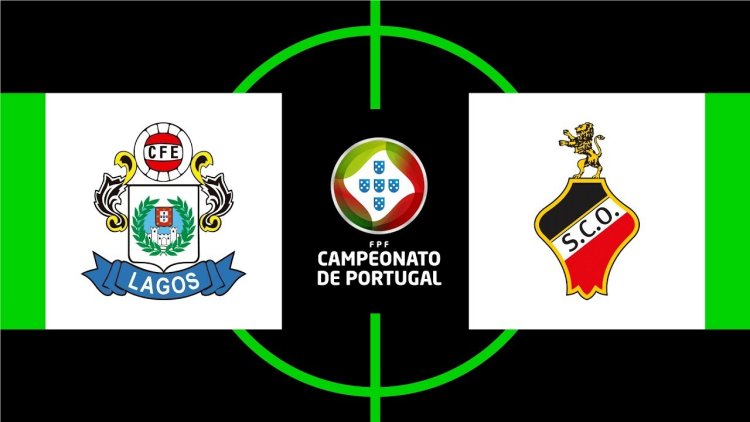 Futebol 365