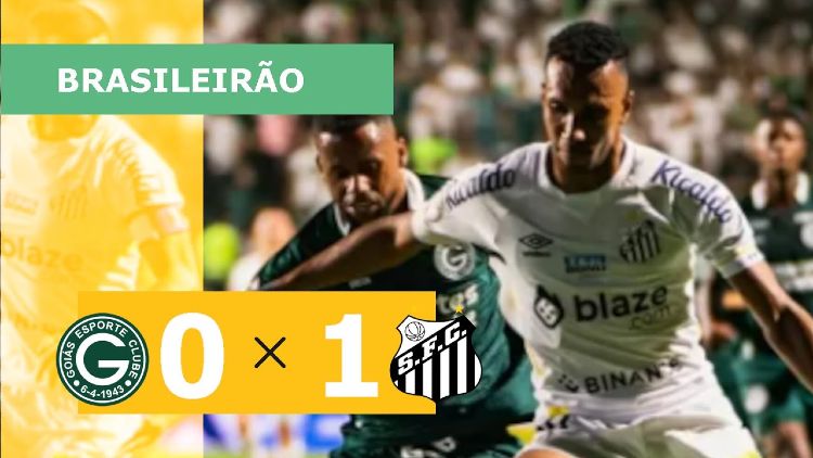 Futebol 365
