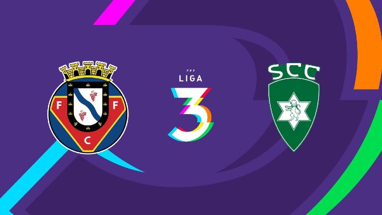 Futebol 365