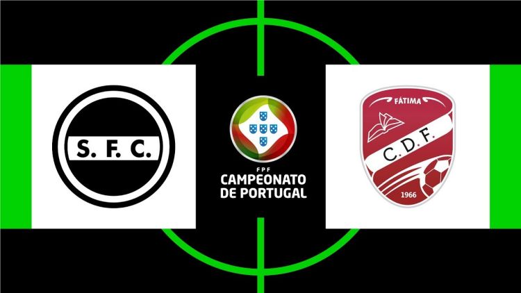 Futebol 365