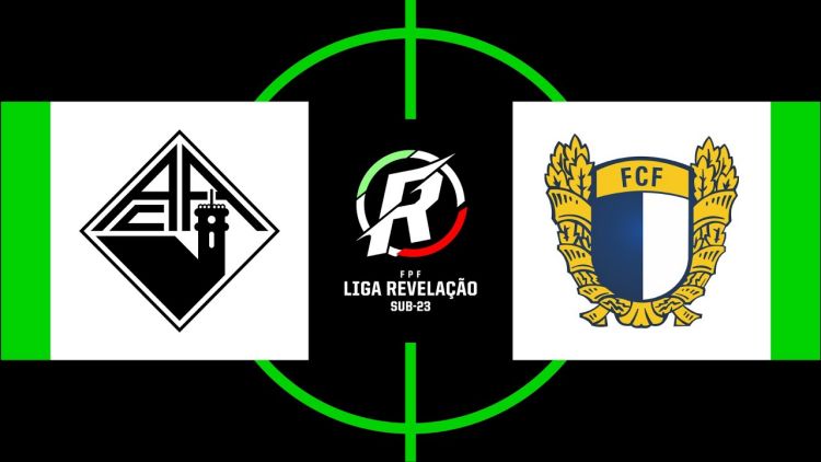 Futebol 365