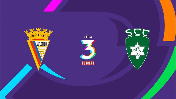 Futebol 365