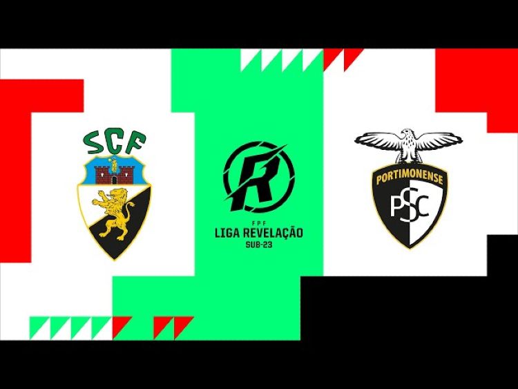 Futebol 365