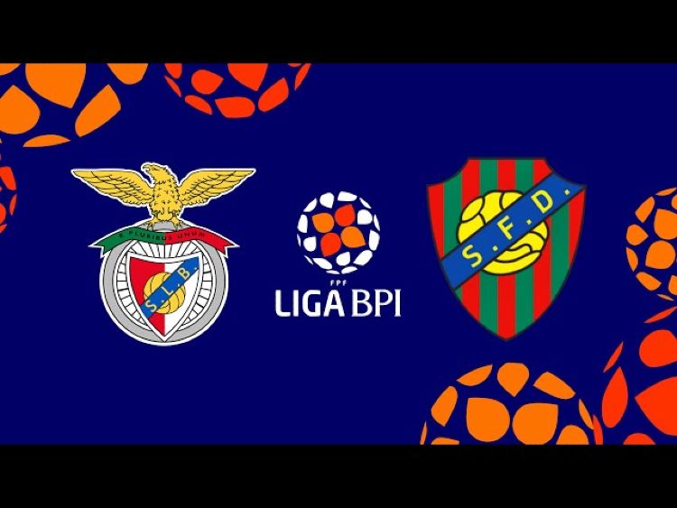 Futebol 365