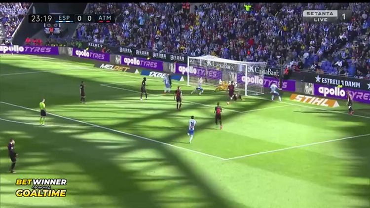 Futebol 365