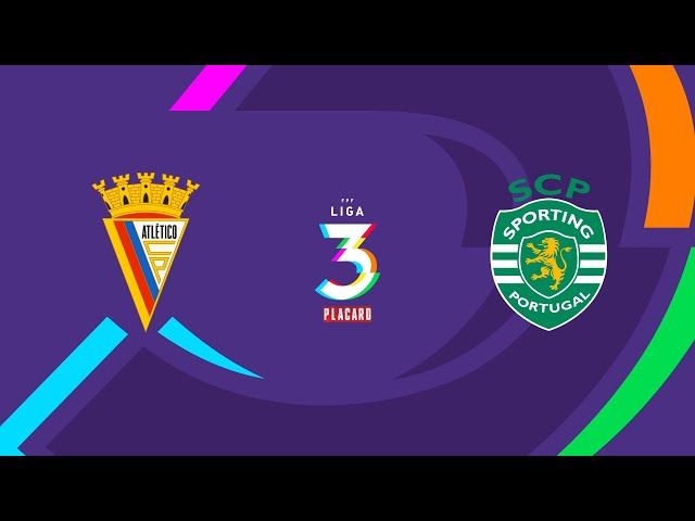 Futebol 365