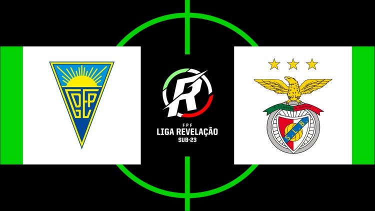 Futebol 365