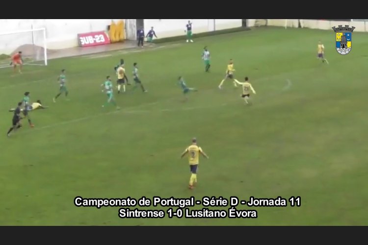 Futebol 365