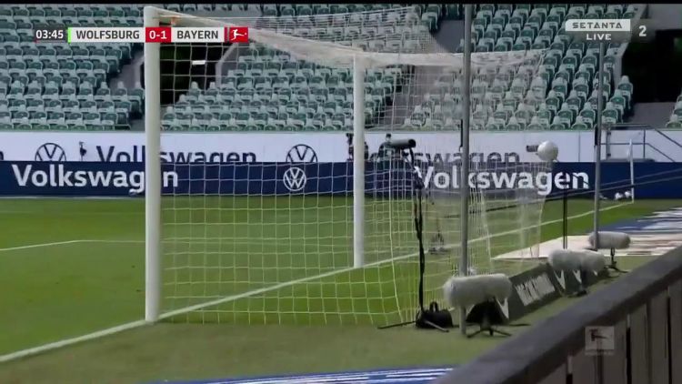 Futebol 365