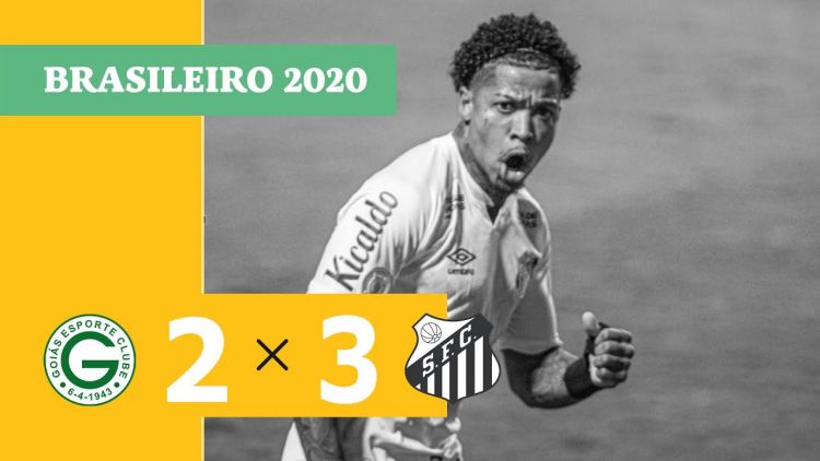 Futebol 365