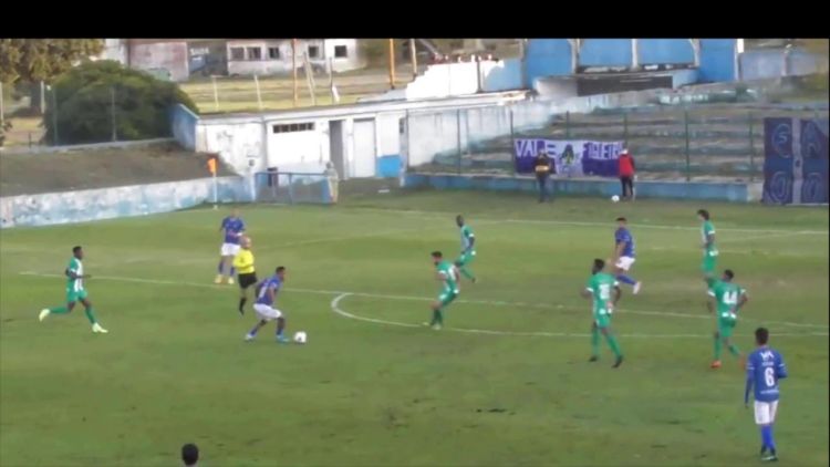 Futebol 365