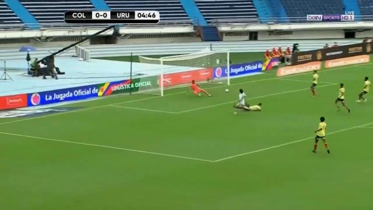 Futebol 365