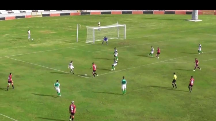 Futebol 365