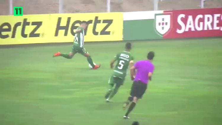 Futebol 365