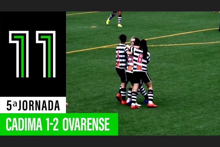 Futebol 365