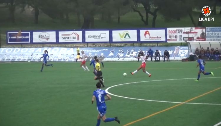 Futebol 365