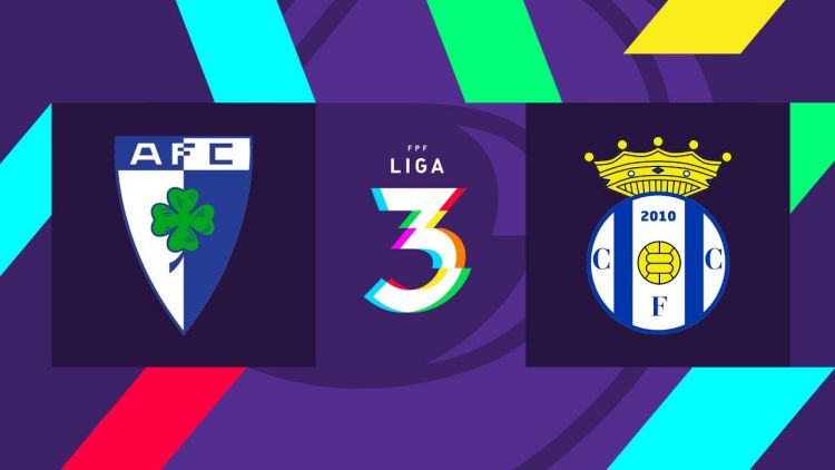 Futebol 365