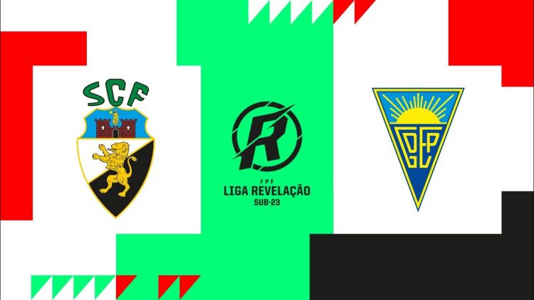 Futebol 365