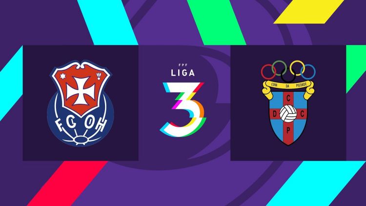 Futebol 365