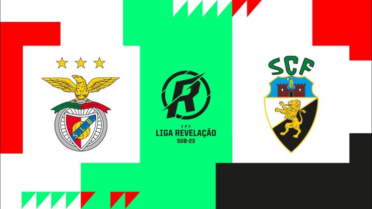 Futebol 365