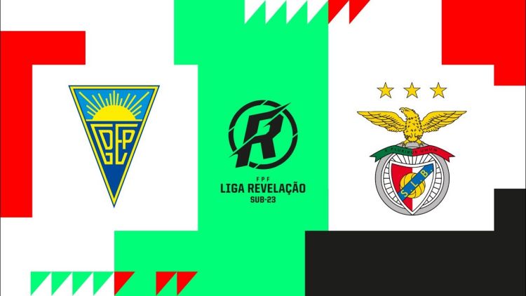 Futebol 365