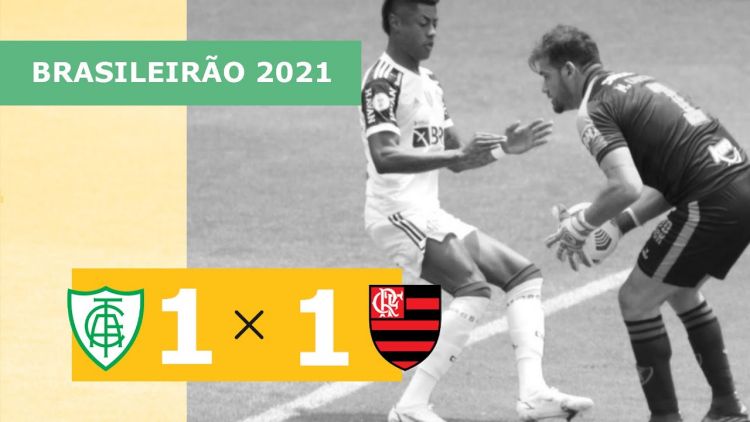Futebol 365