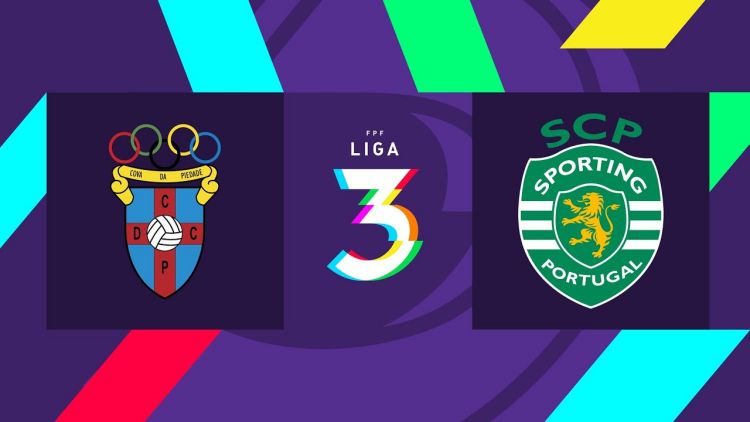 Futebol 365
