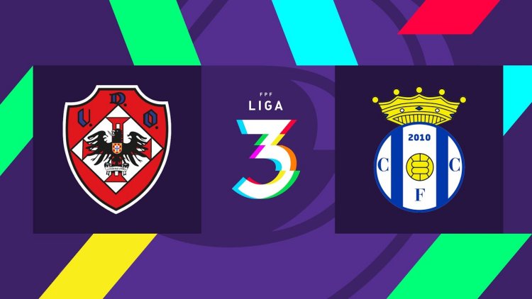 Futebol 365