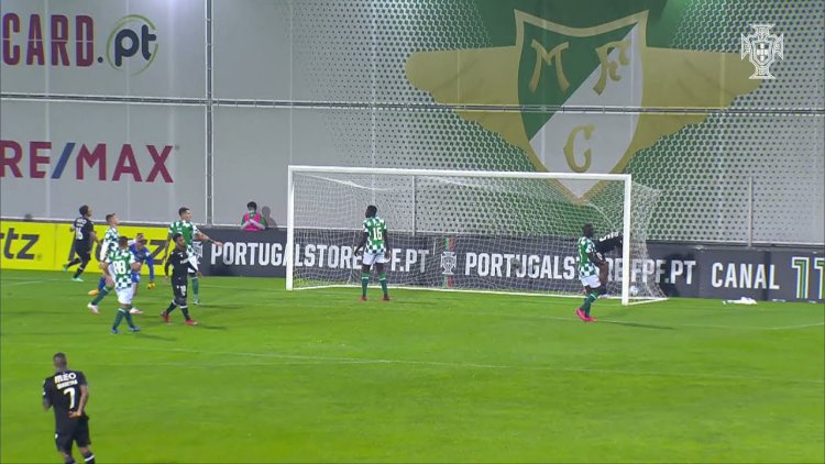 Futebol 365
