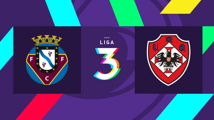 Futebol 365