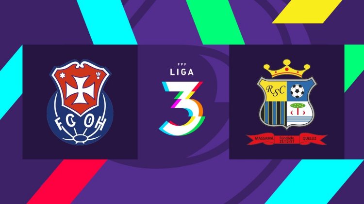 Futebol 365