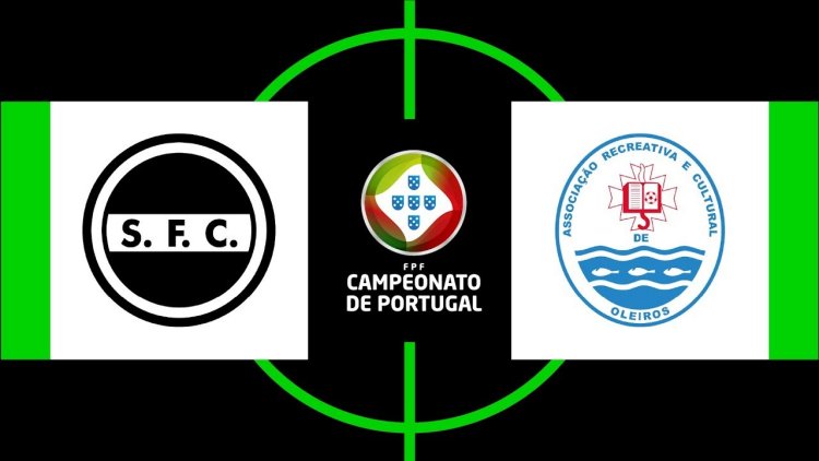 Futebol 365